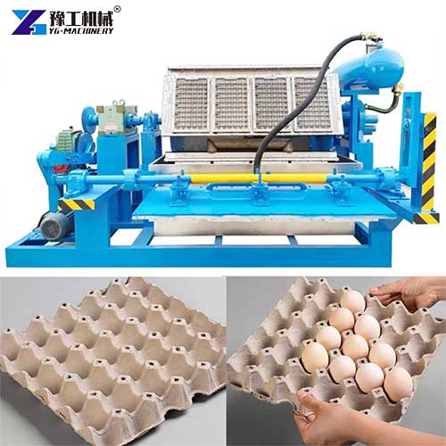 small egg tray making machine price