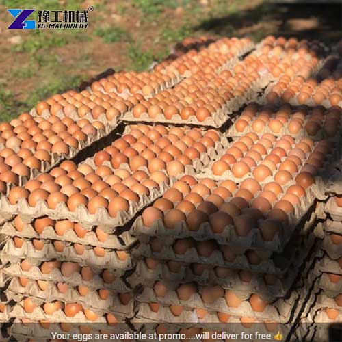 feedback from egg box making machine customers